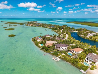 Located in the prestigious gated community of Shark Key, 30 - photo 4