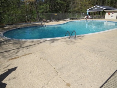Enjoy summer breezes and beautiful sunsets with access to Lake - photo 46