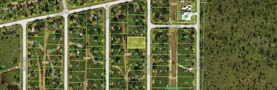 Welcome to Gulf Cove! Put your stakes down and build your castle - photo 5