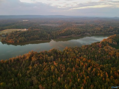 Experience breathtaking panoramic views of Weiss Lake and - photo 7