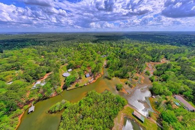 Waterfront living at its best on Toledo Bend Reservoir in the - photo 3
