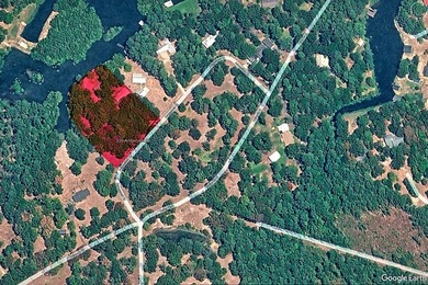 Waterfront living at its best on Toledo Bend Reservoir in the - photo 4