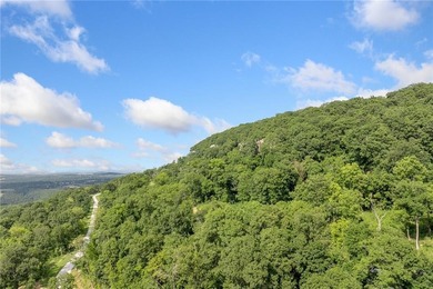 Welcome to Lot 3 (0.90 m/l ac) on Significance Summit at Round - photo 30