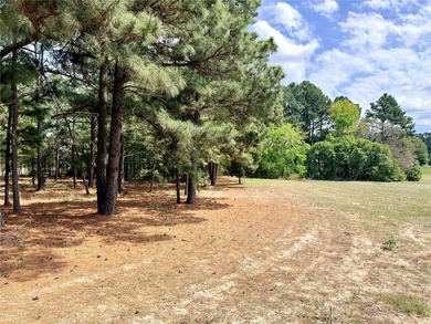 Build your custom home on 2.038 acres in Waters Edge Ranch with - photo 3