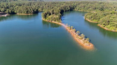 Smith Lake - Unleash your creativity on this One-of-a-kind - photo 11