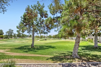 Within the prestigious gated Arizona Biltmore Estates, From the - photo 25