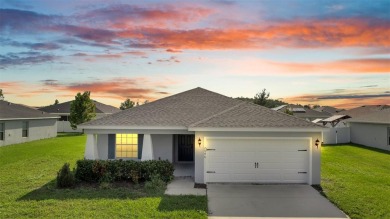 (private lake, pond, creek) Home For Sale in Saint Cloud Florida