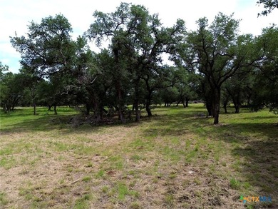 Welcome to 8119 Haley Court-an exceptional 2.5-acre homesite - photo 6