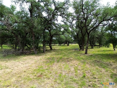 Welcome to 8119 Haley Court-an exceptional 2.5-acre homesite - photo 8