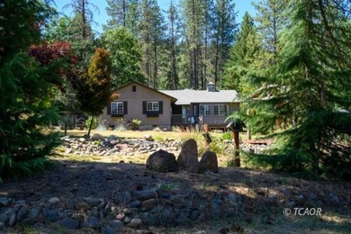 Trinity Lake / Clair Engle Lake Home For Sale in Lewiston California