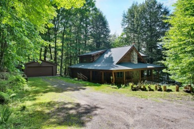 Lake Home For Sale in Iron River, Michigan