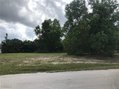 This sale includes property address #916 (appox. quarter acre) - photo 3