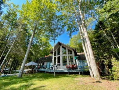 Dream Beach Home! SOLD - Lake Home SOLD! in Harrisville, Michigan