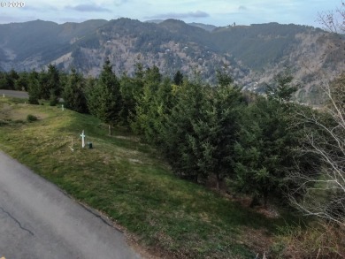 Bring your plans and build your dream home on the top of Crown - photo 1