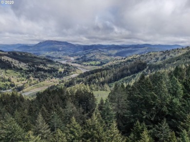 Bring your plans and build your dream home on the top of Crown - photo 3