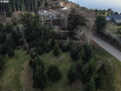 Bring your plans and build your dream home on the top of Crown - photo 4