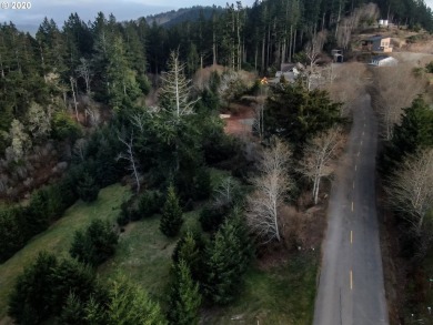 Bring your plans and build your dream home on the top of Crown - photo 5
