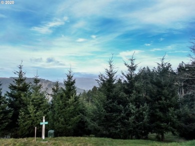 Bring your plans and build your dream home on the top of Crown - photo 7
