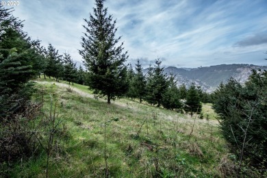 Bring your plans and build your dream home on the top of Crown - photo 8
