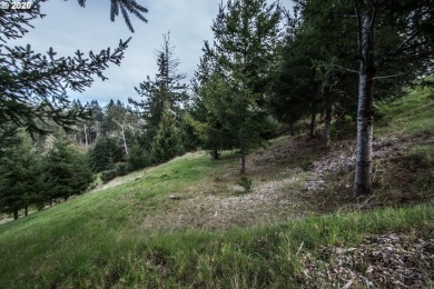 Bring your plans and build your dream home on the top of Crown - photo 9