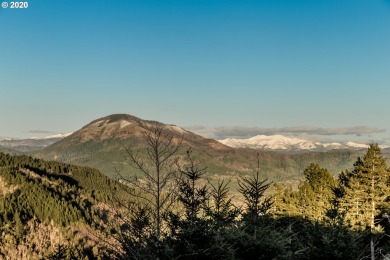 Bring your plans and build your dream home on the top of Crown - photo 10