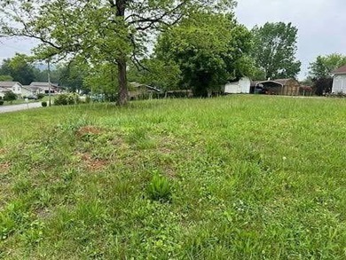 Chickamauga Lake Lot For Sale in Soddy Daisy Tennessee