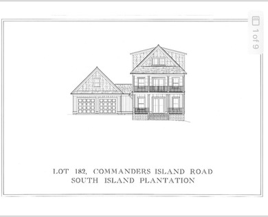 Welcome to your dream home in South Island Plantation, a premier - photo 29
