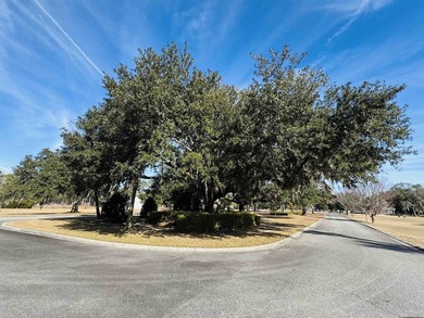 Welcome to your dream home in South Island Plantation, a premier - photo 38