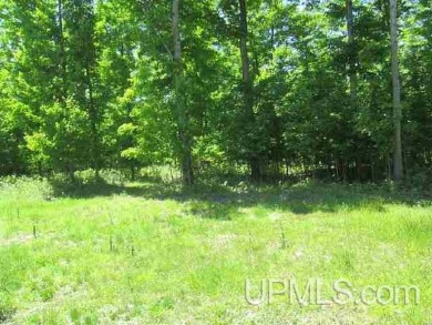 Lake Lot Off Market in Gladstone, Michigan