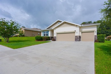 Welcome to 2544 Autumn Stream Drive in Leesburg, Florida! This - photo 3