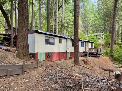 Trinity Lake / Clair Engle Lake Home For Sale in Covington Mill California