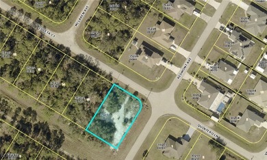 Lehigh Acres Area Lot For Sale in Lehigh Acres Florida