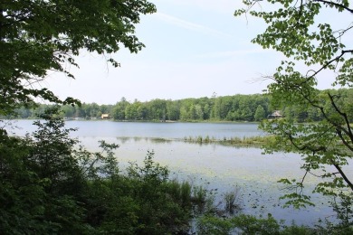 Lake Lot For Sale in Harrison, Michigan