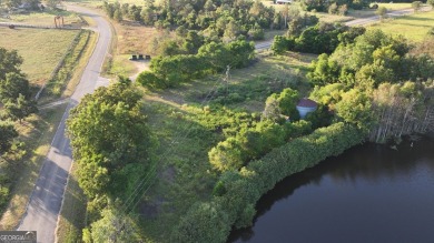 Lake Lot For Sale in Butler, Georgia