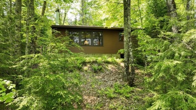 Lake Home Sale Pending in Presque Isle, Wisconsin