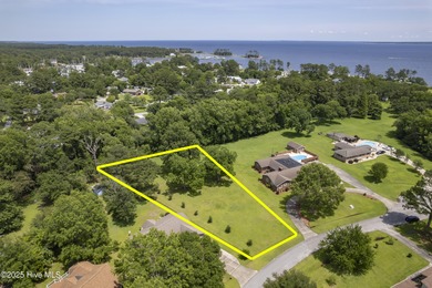 Beautifully-maintained grassy lot with two pecan trees and many - photo 2