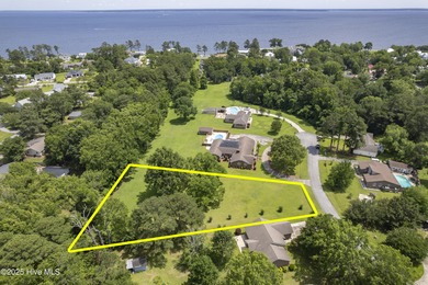 Beautifully-maintained grassy lot with two pecan trees and many - photo 3