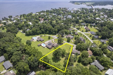 Beautifully-maintained grassy lot with two pecan trees and many - photo 4