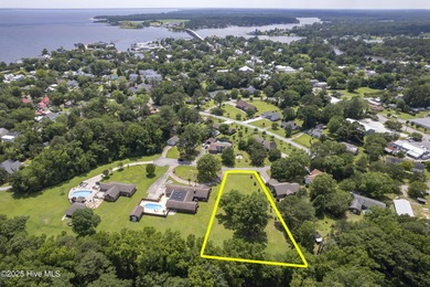 Beautifully-maintained grassy lot with two pecan trees and many - photo 5