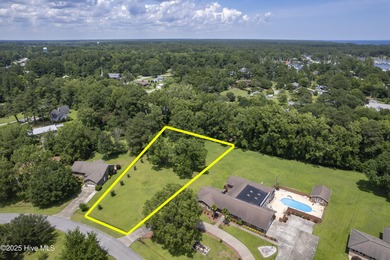 Beautifully-maintained grassy lot with two pecan trees and many - photo 7
