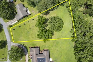 Beautifully-maintained grassy lot with two pecan trees and many - photo 8