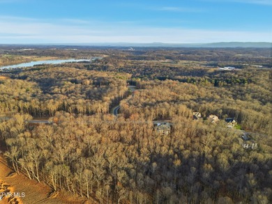 Don't miss your chance to own the largest lot on the street in - photo 14