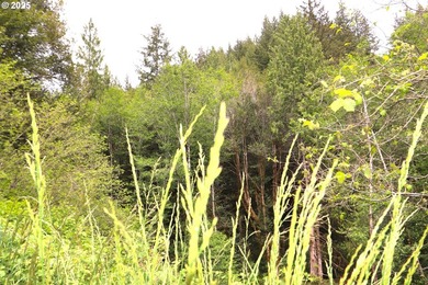 If you want peace, tranquility, and beautiful views this - photo 15