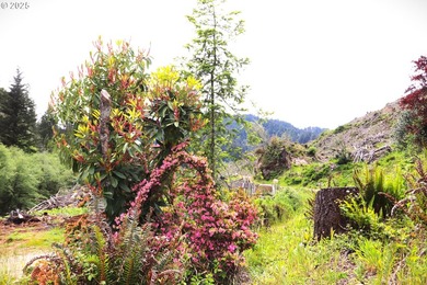 If you want peace, tranquility, and beautiful views this - photo 16