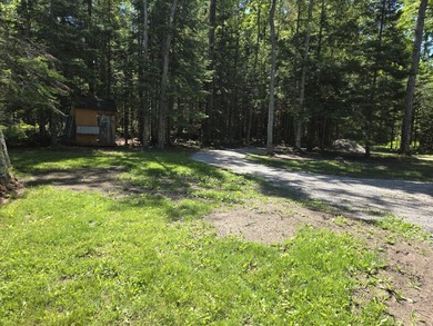 Nine gorgeous acres on the Thunder Bay River!! 200' of frontage! - photo 19