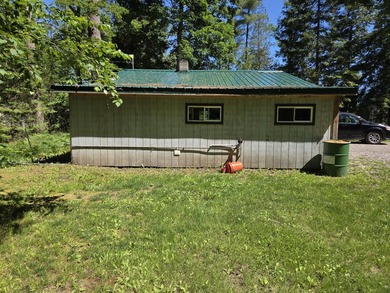 Nine gorgeous acres on the Thunder Bay River!! 200' of frontage! - photo 22