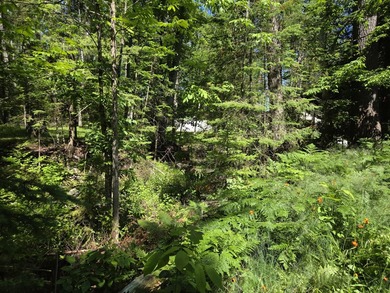 Nine gorgeous acres on the Thunder Bay River!! 200' of frontage! - photo 23