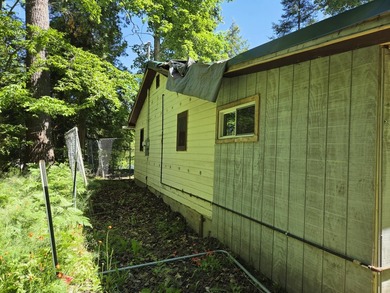 Nine gorgeous acres on the Thunder Bay River!! 200' of frontage! - photo 24