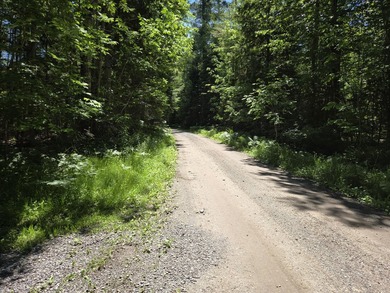 Nine gorgeous acres on the Thunder Bay River!! 200' of frontage! - photo 25
