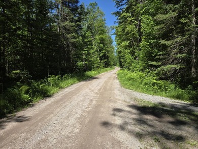 Nine gorgeous acres on the Thunder Bay River!! 200' of frontage! - photo 26